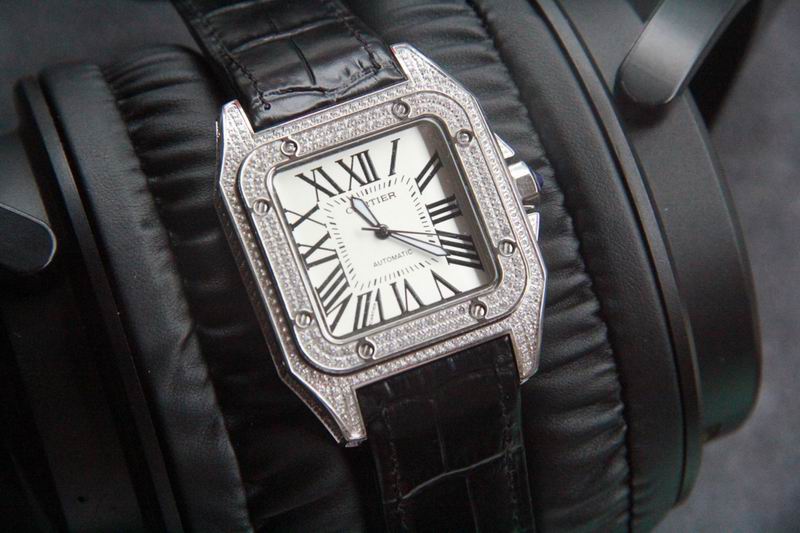 Cartier 36X11mm 42X11mm 171 (5)