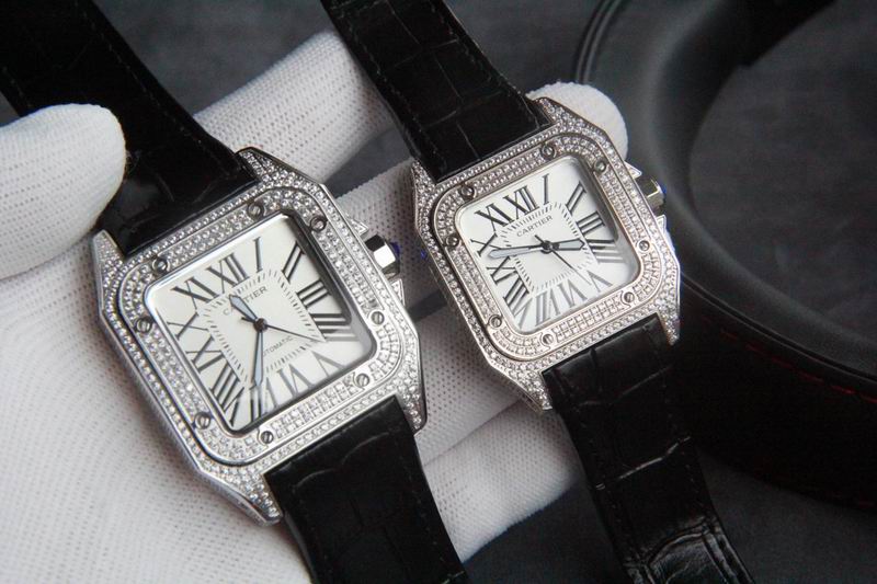 Cartier 36X11mm 42X11mm 171 (8)