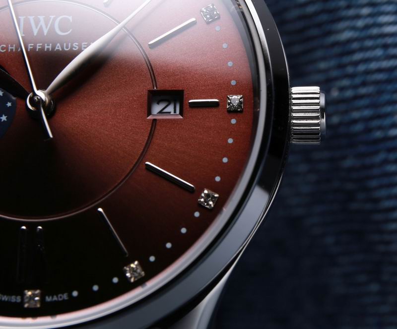 IWC 39X10mm 31 (7)