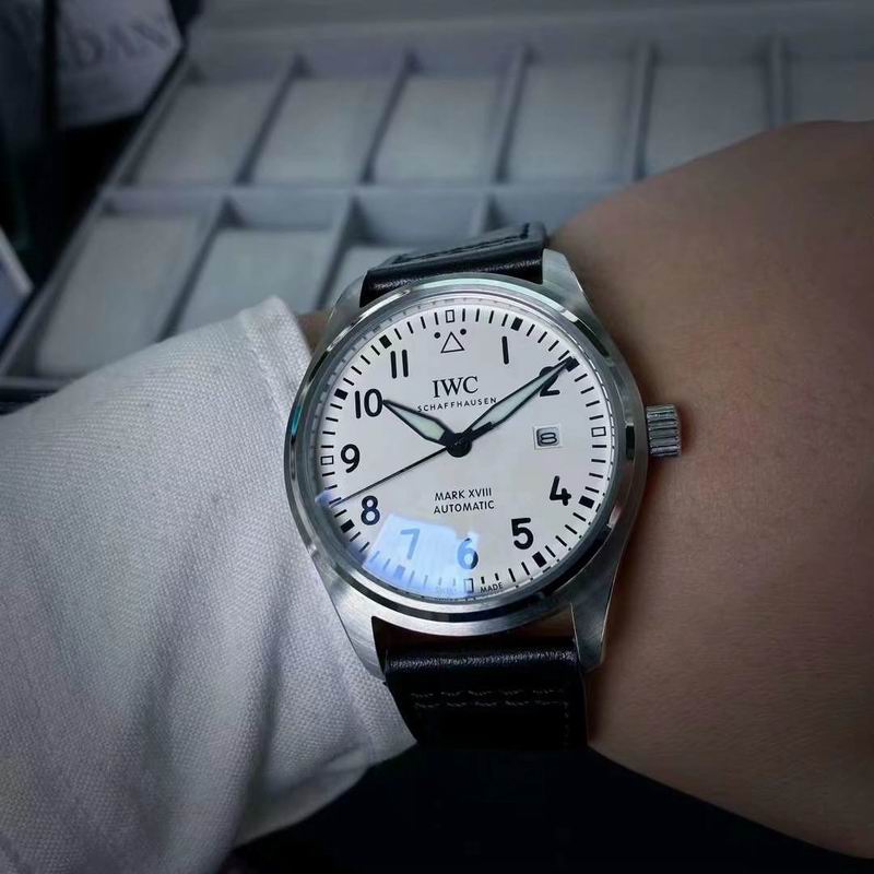 IWC 40X11mm 06 (9)