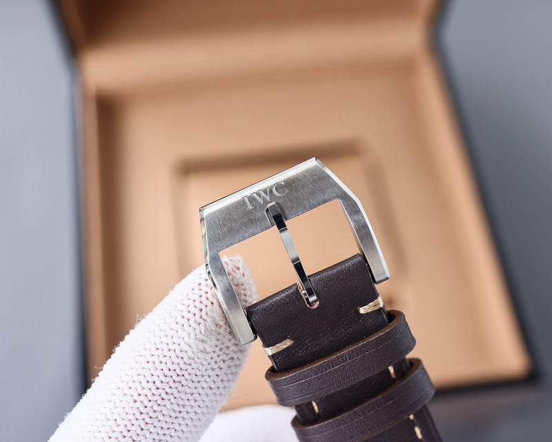 IWC 40X11mm 17 (2)