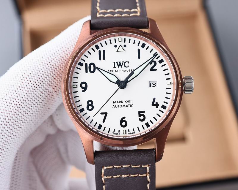 IWC 40X11mm 17 (5)