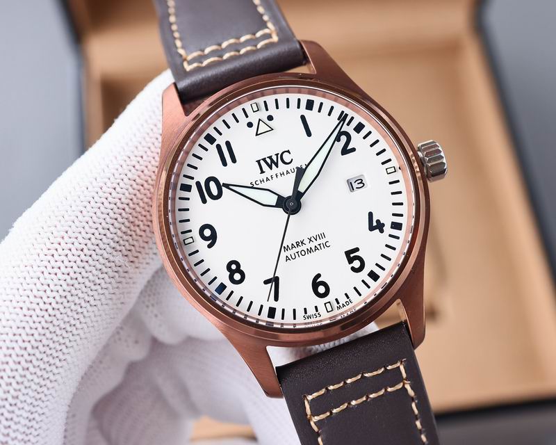 IWC 40X11mm 17 (6)