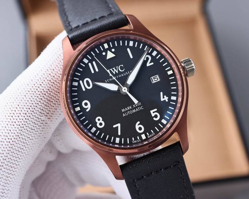 IWC 40X11mm 17 (7)