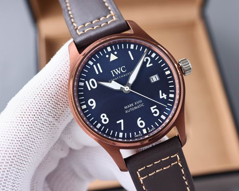 IWC 40X11mm 17 (9)