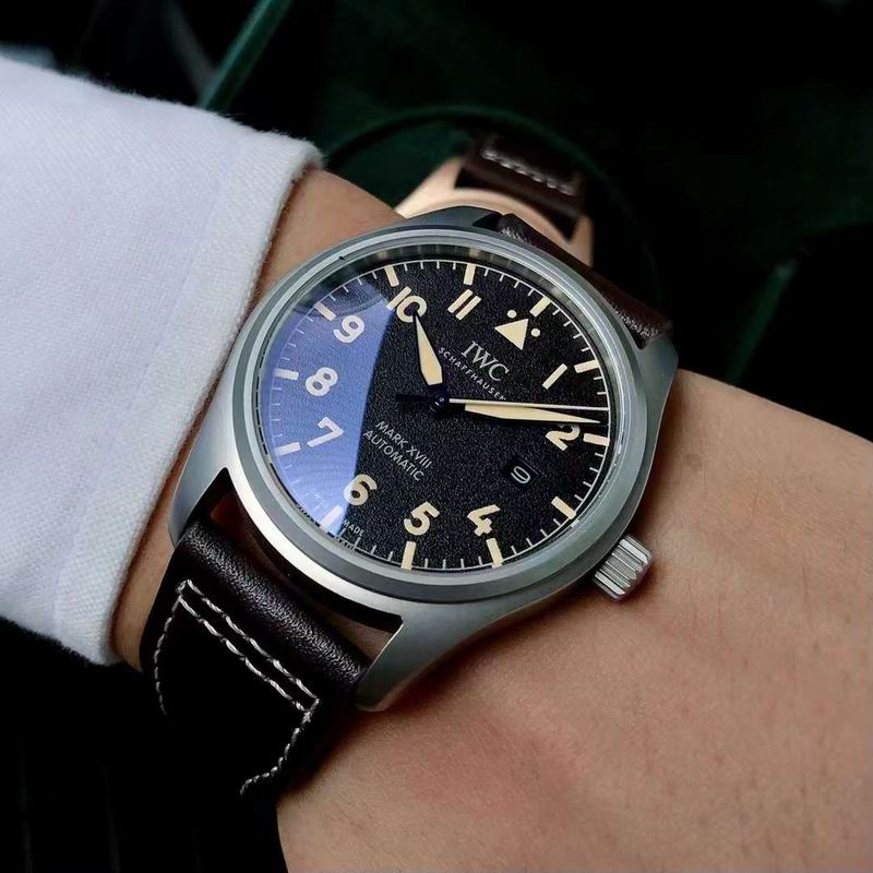 IWC 40X11mm 77 (7)