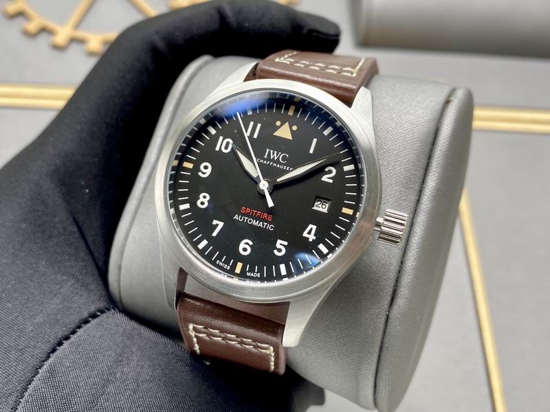 IWC 40X13mm 160 (10)
