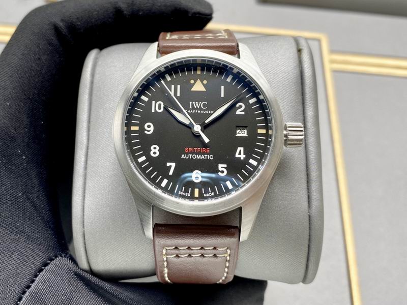 IWC 40X13mm 160 (12)