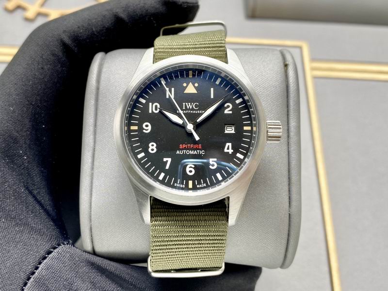 IWC 40X13mm 160 (14)