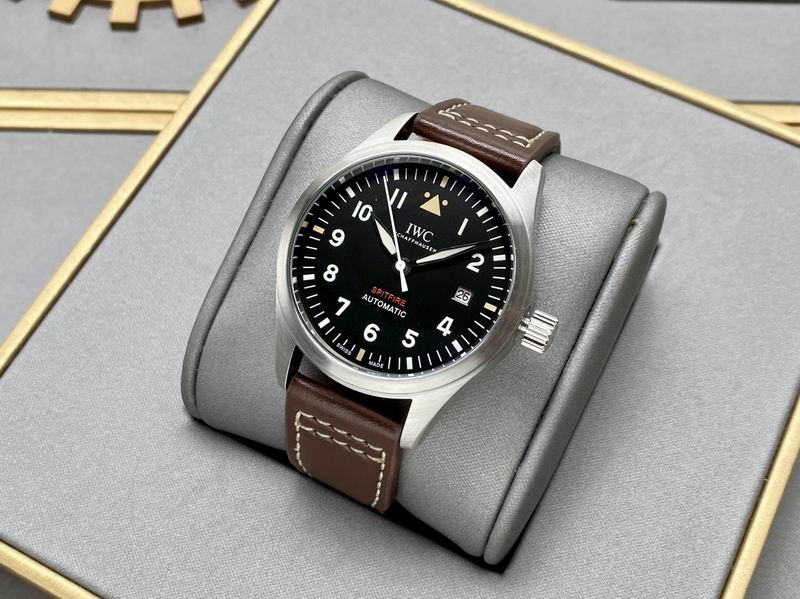 IWC 40X13mm 160 (15)