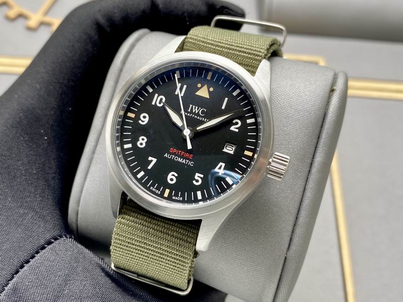 IWC 40X13mm 160 (16)