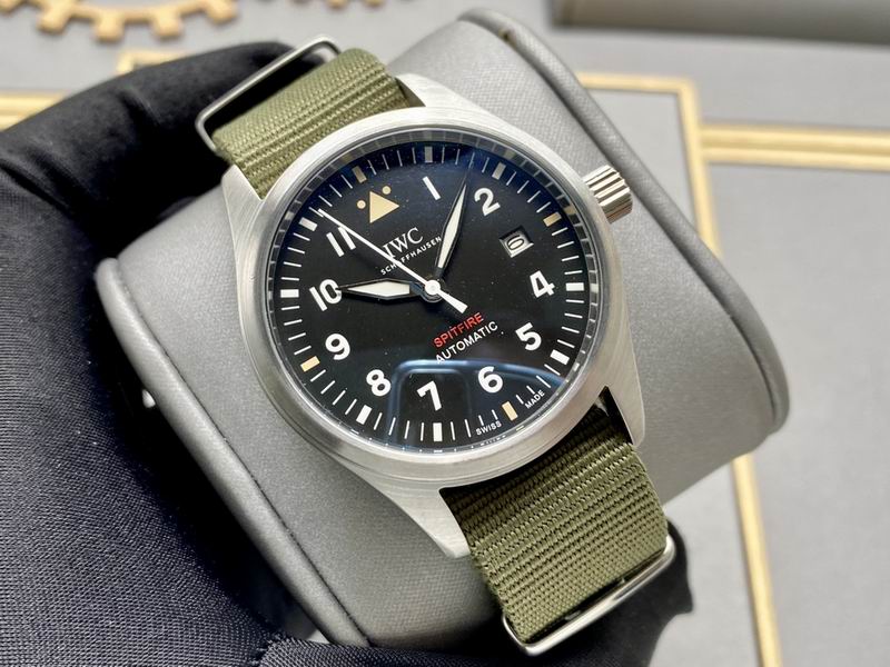 IWC 40X13mm 160 (17)