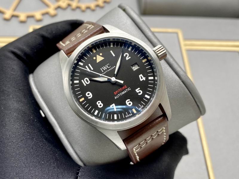 IWC 40X13mm 160 (18)