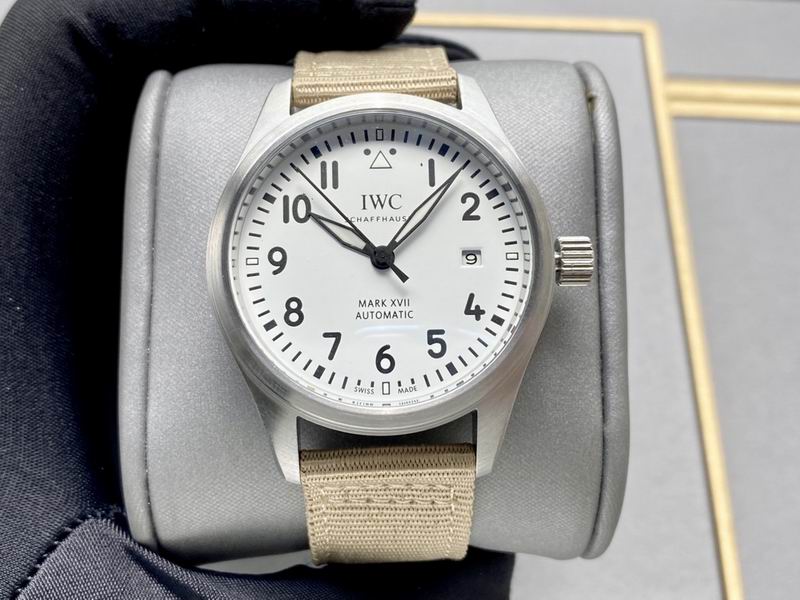 IWC 40X13mm 160 (7)