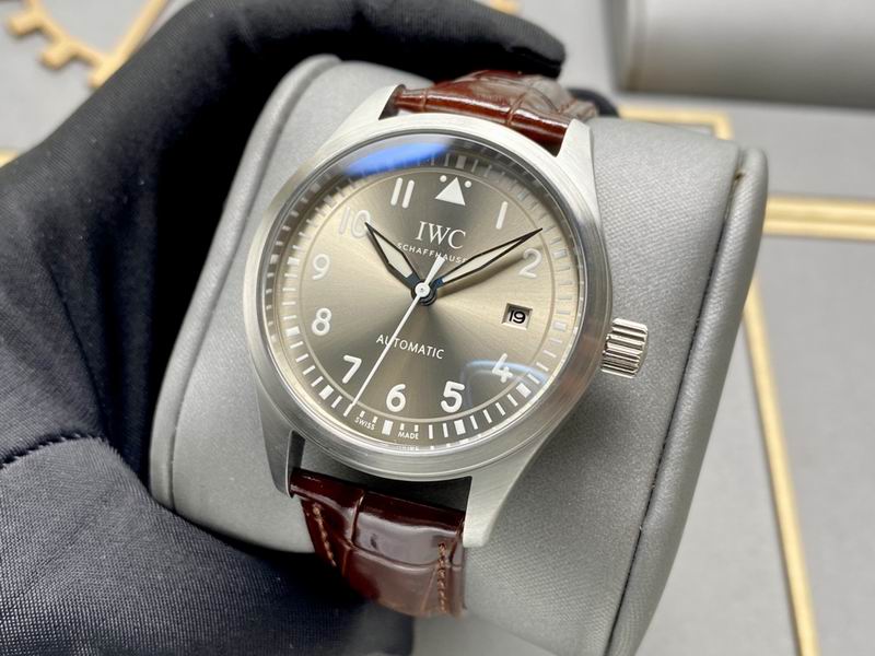 IWC 40X13mm 161 (8)