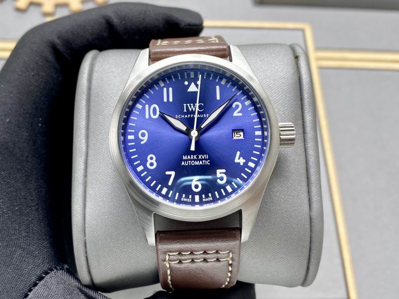 IWC 40X13mm 163 (2)