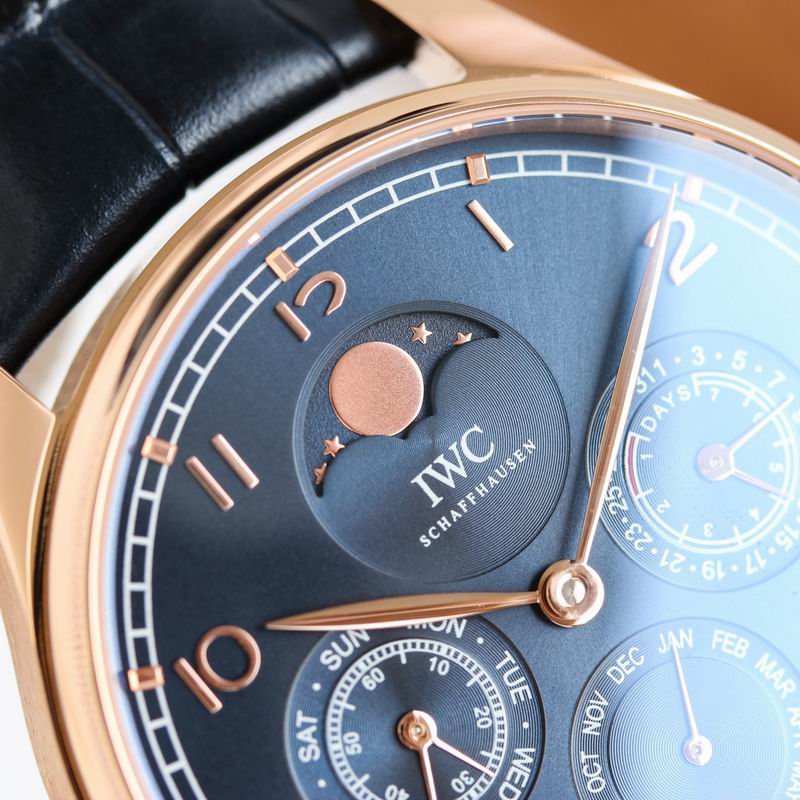 IWC 42.2X14.9mm 64 (11)