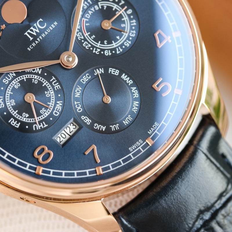 IWC 42.2X14.9mm 64 (18)