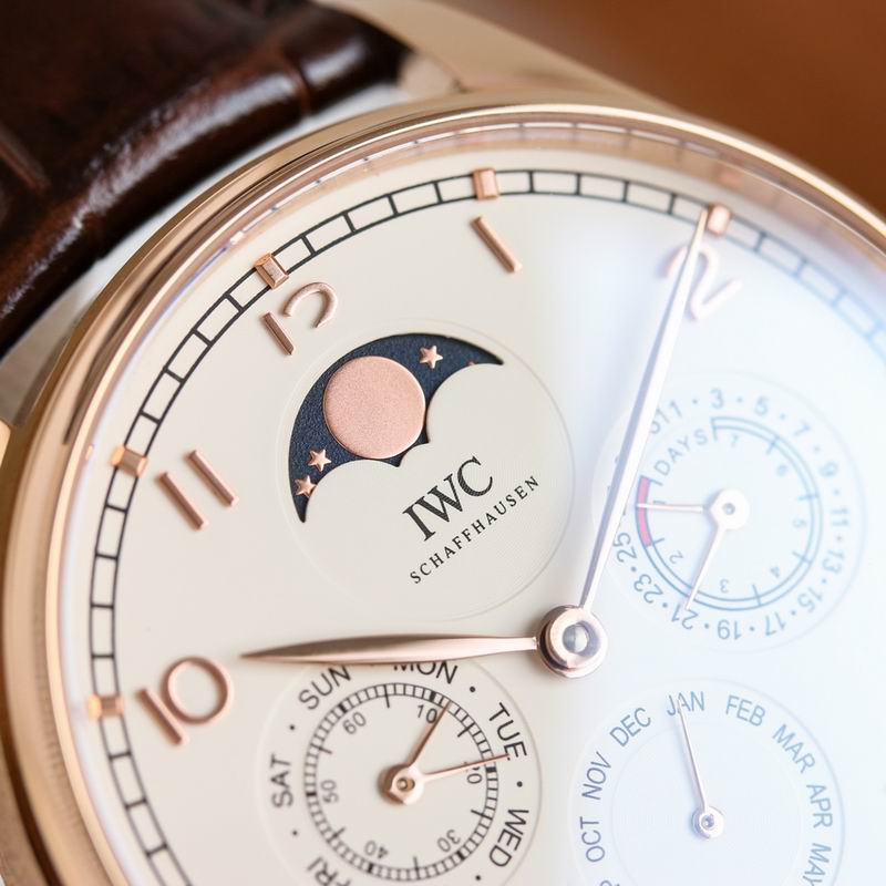 IWC 42.2X14.9mm 64 (20)