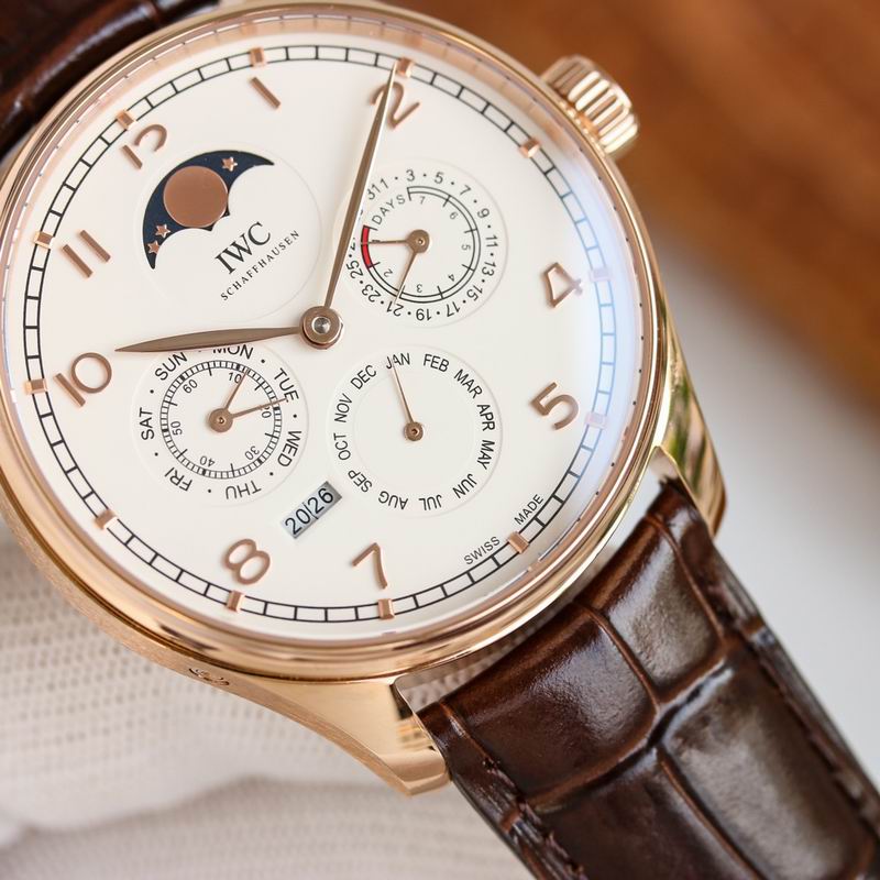 IWC 42.2X14.9mm 64 (21)