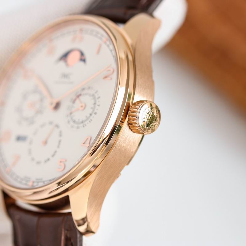 IWC 42.2X14.9mm 64 (24)