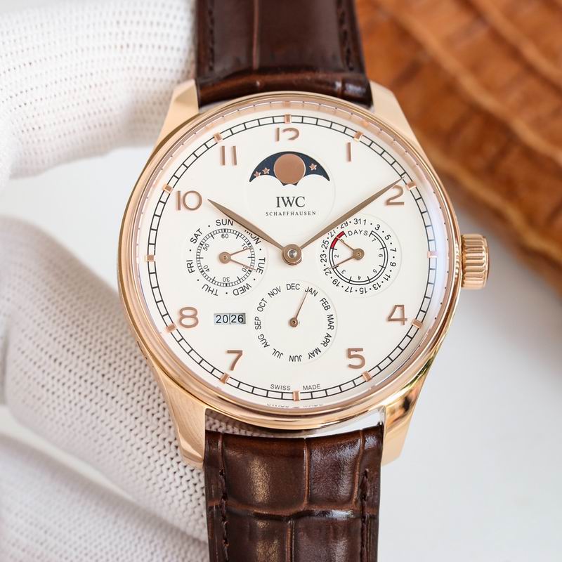 IWC 42.2X14.9mm 64 (25)