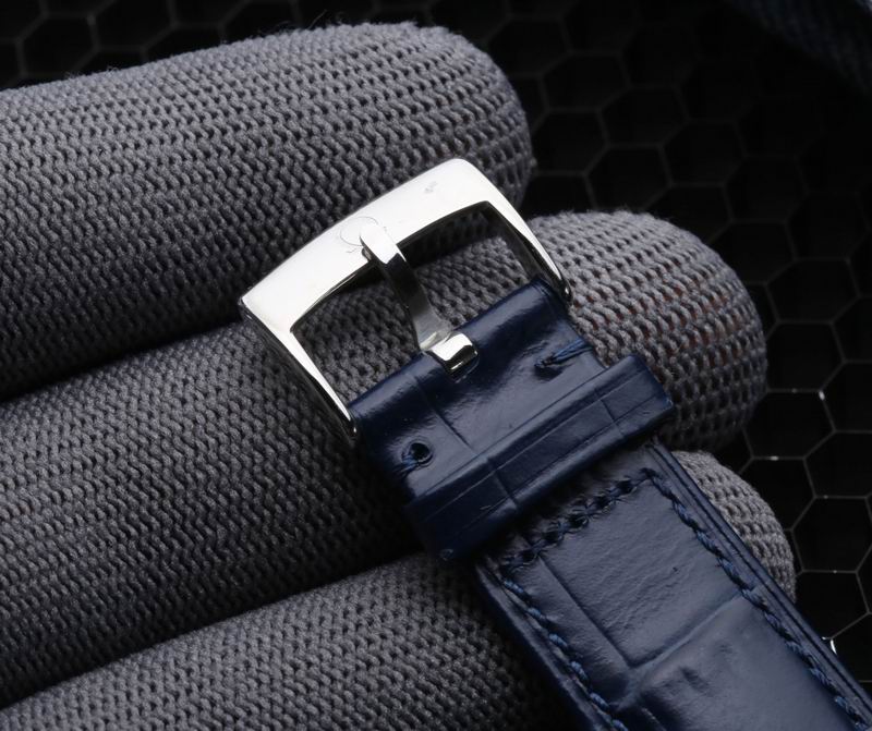 Omega 39X12mm 27 (6)