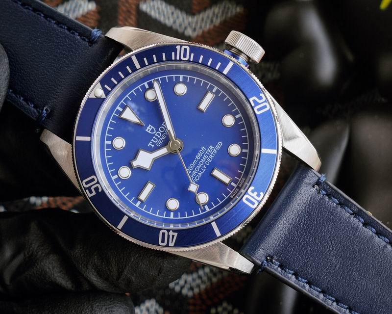 Tudor 42mm 25 (1)