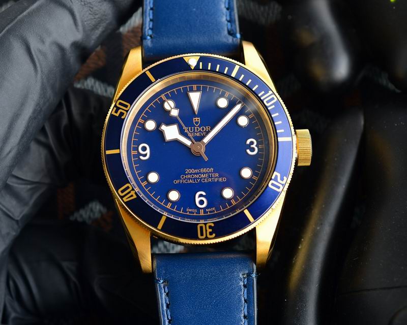 Tudor 42mm 25 (10)