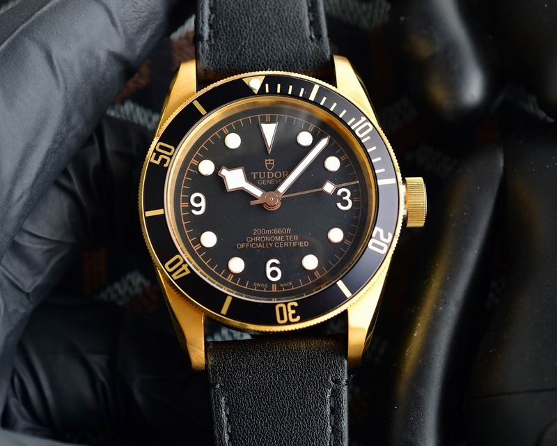 Tudor 42mm 25 (11)