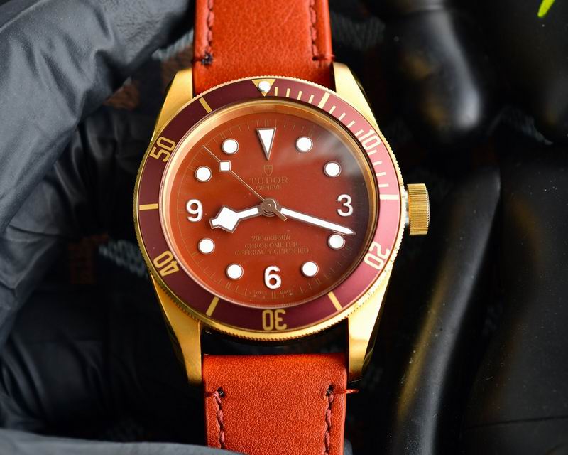 Tudor 42mm 25 (12)