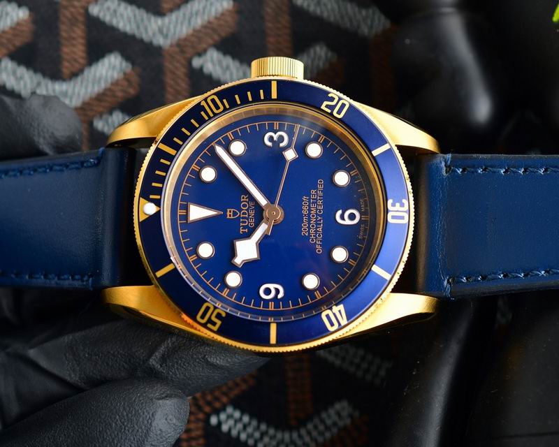 Tudor 42mm 25 (17)