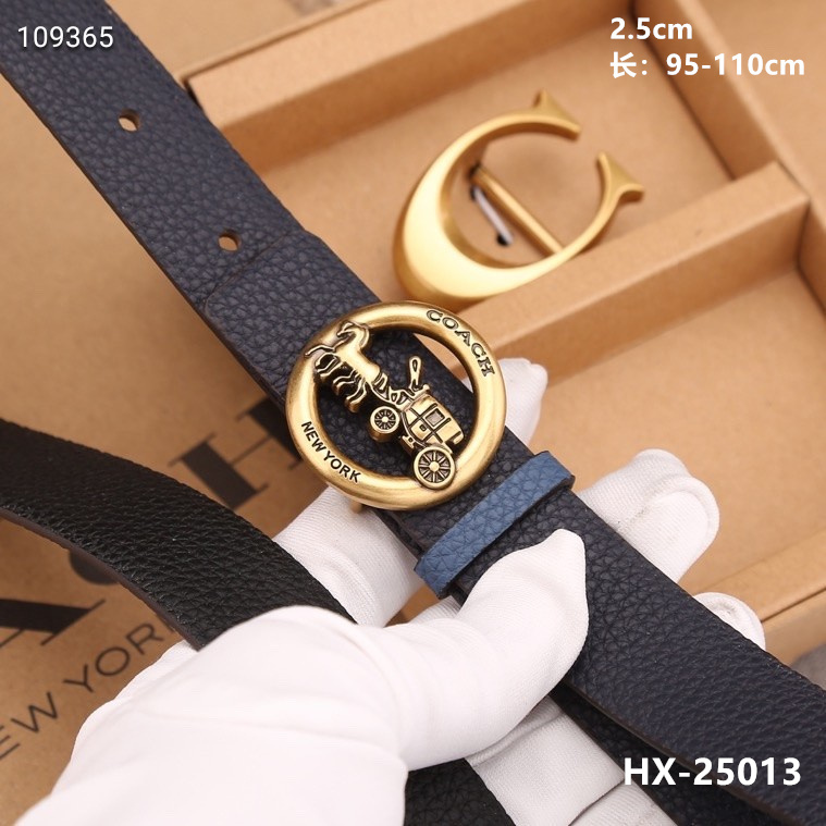 Coach 25mmX95-110cm 8L (10)