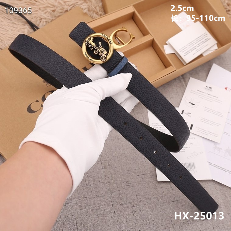 Coach 25mmX95-110cm 8L (11)