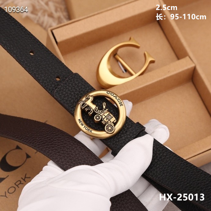 Coach 25mmX95-110cm 8L (14)