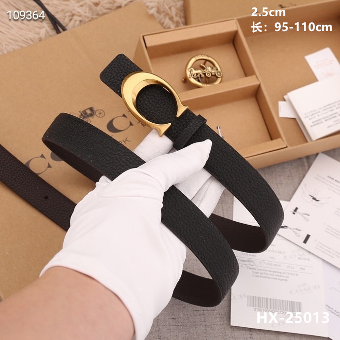 Coach 25mmX95-110cm 8L (15)