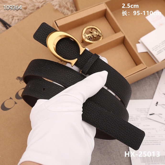 Coach 25mmX95-110cm 8L (16)