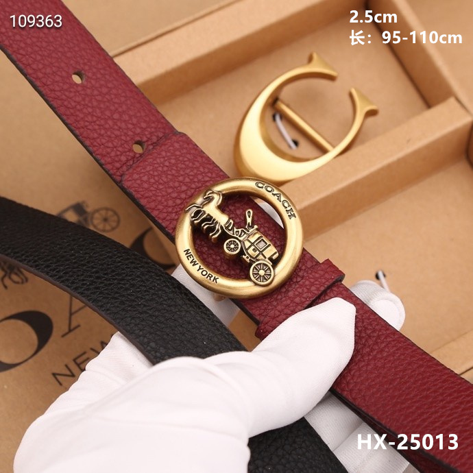 Coach 25mmX95-110cm 8L (18)