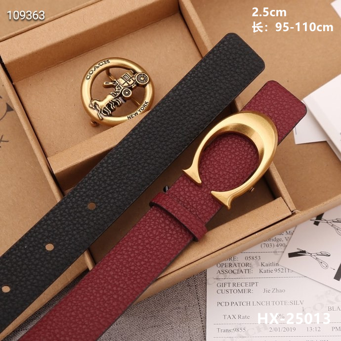 Coach 25mmX95-110cm 8L (19)