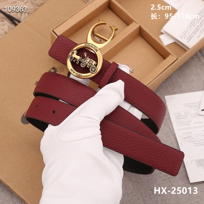 Coach 25mmX95-110cm 8L (20)