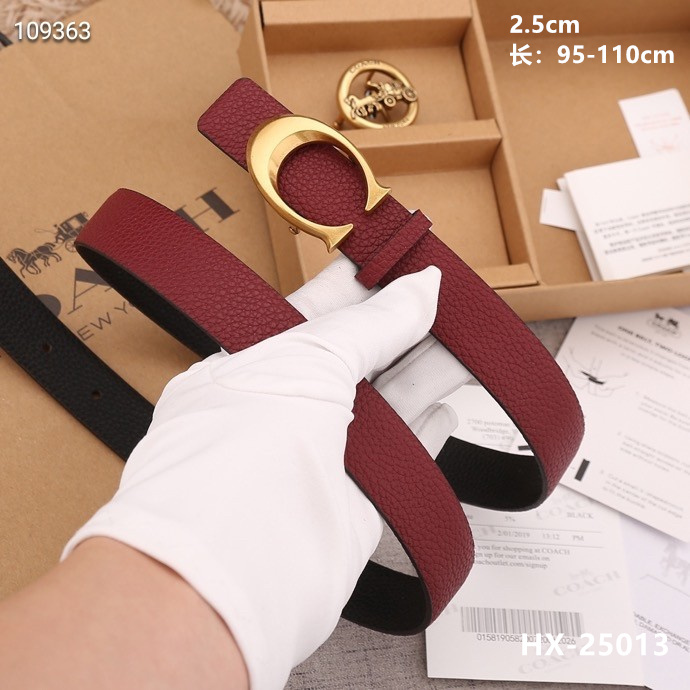 Coach 25mmX95-110cm 8L (21)