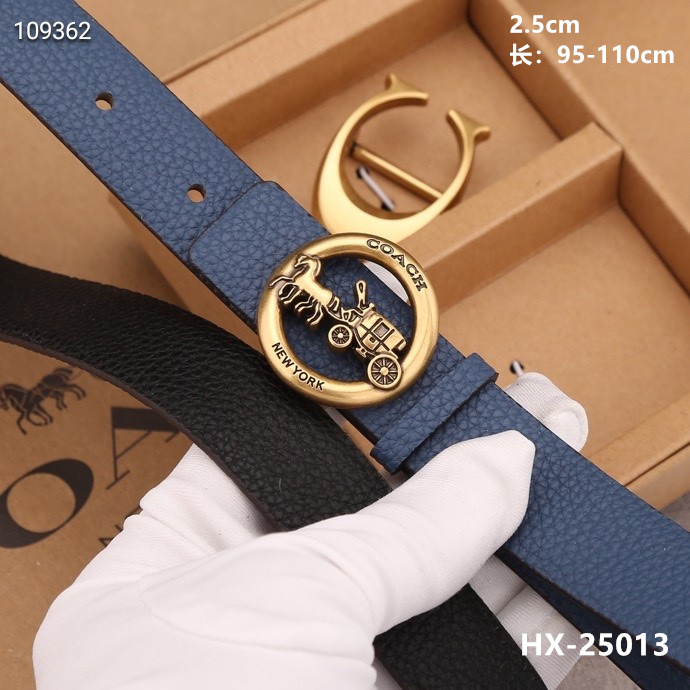 Coach 25mmX95-110cm 8L (22)