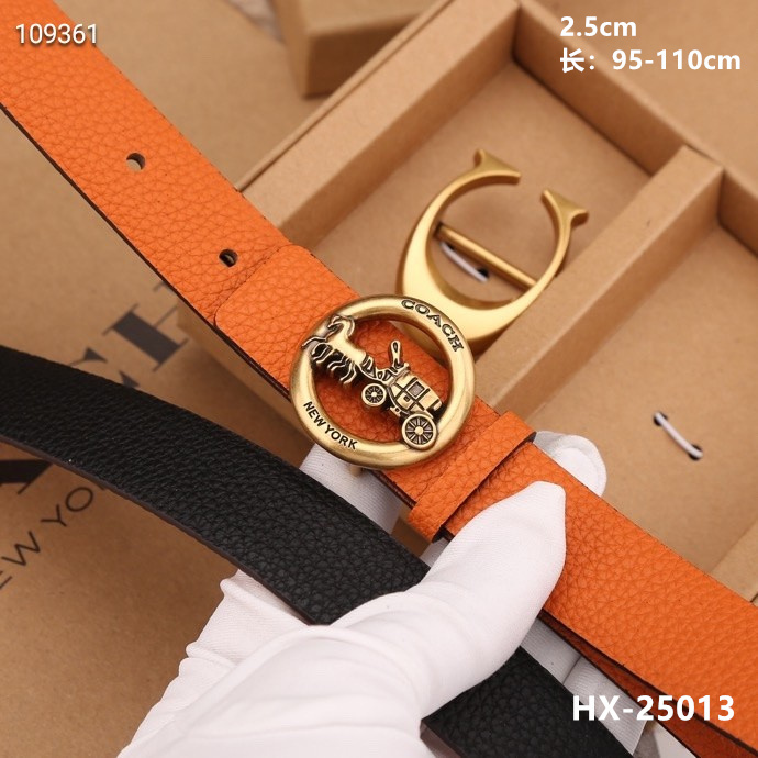 Coach 25mmX95-110cm 8L (27)