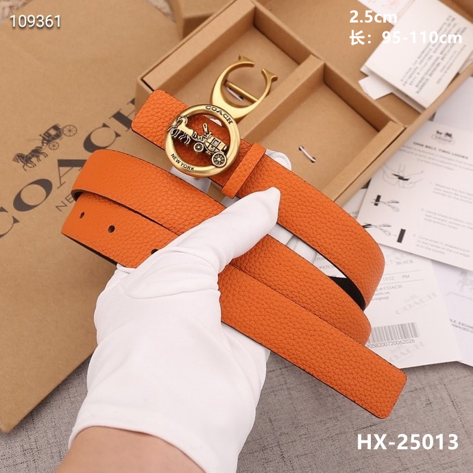 Coach 25mmX95-110cm 8L (28)