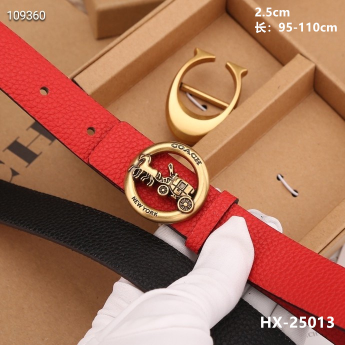 Coach 25mmX95-110cm 8L (30)