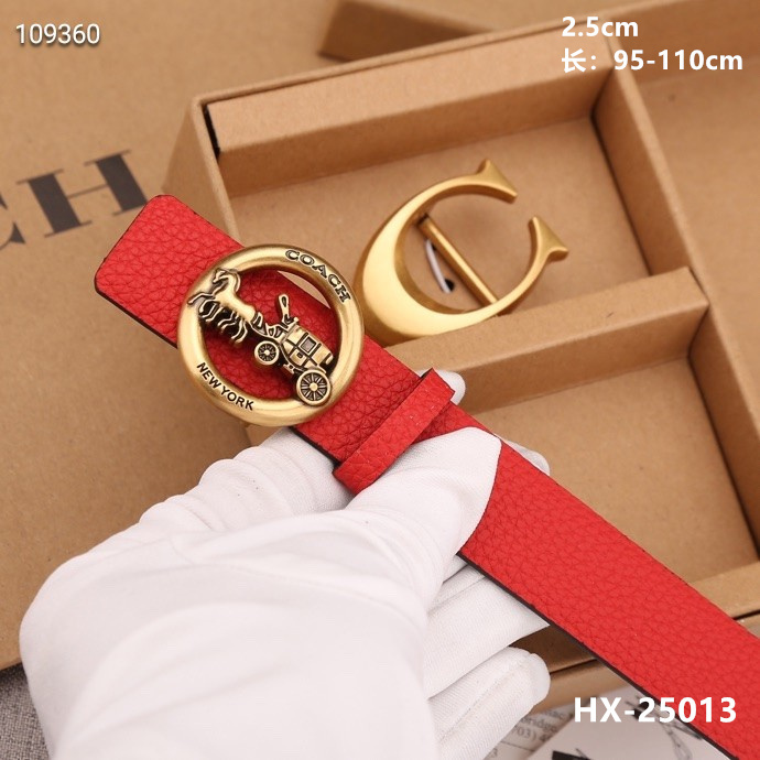 Coach 25mmX95-110cm 8L (31)