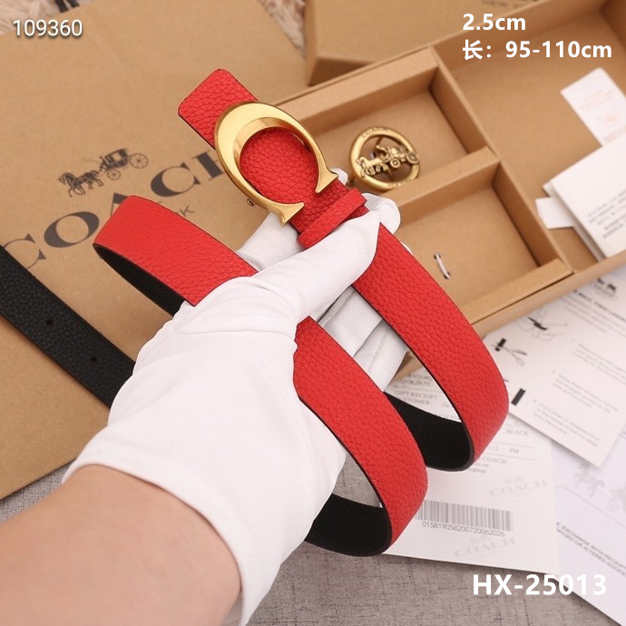 Coach 25mmX95-110cm 8L (32)