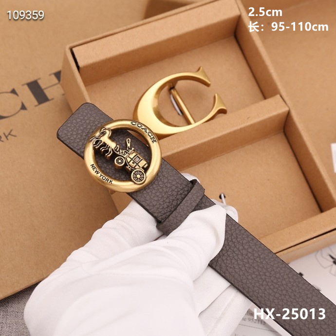 Coach 25mmX95-110cm 8L (33)