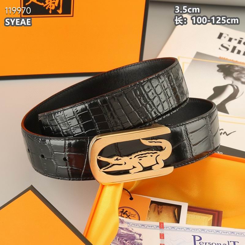 Lacoste belt 35mmX100-125cm 8L (9)