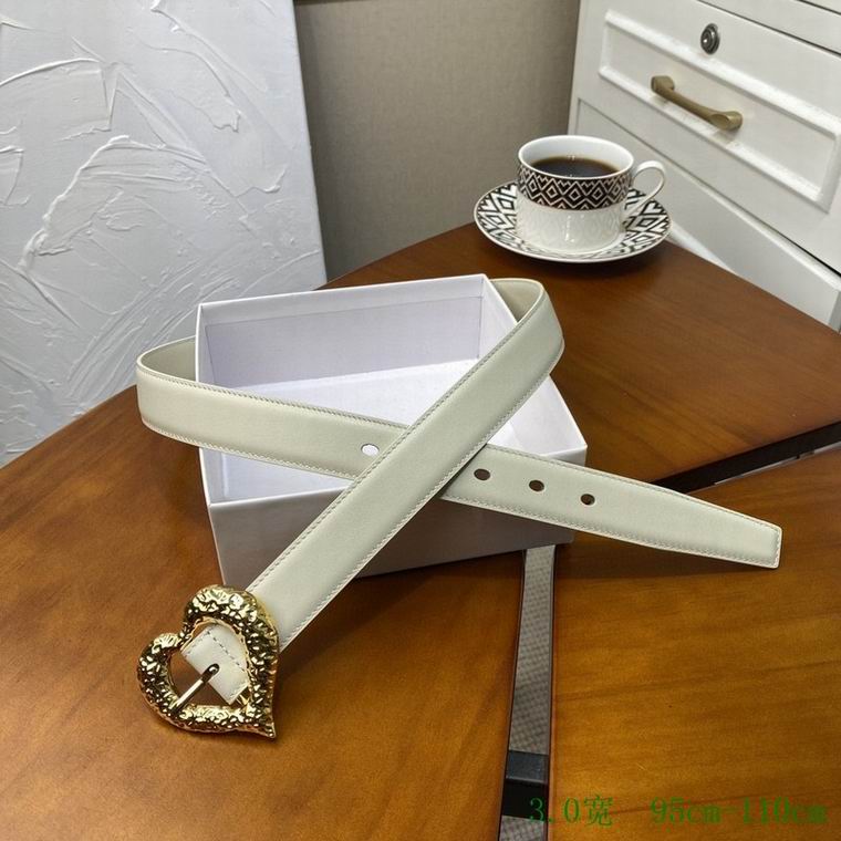 YSL Belt 30mmX95-110cm 7D  (1)